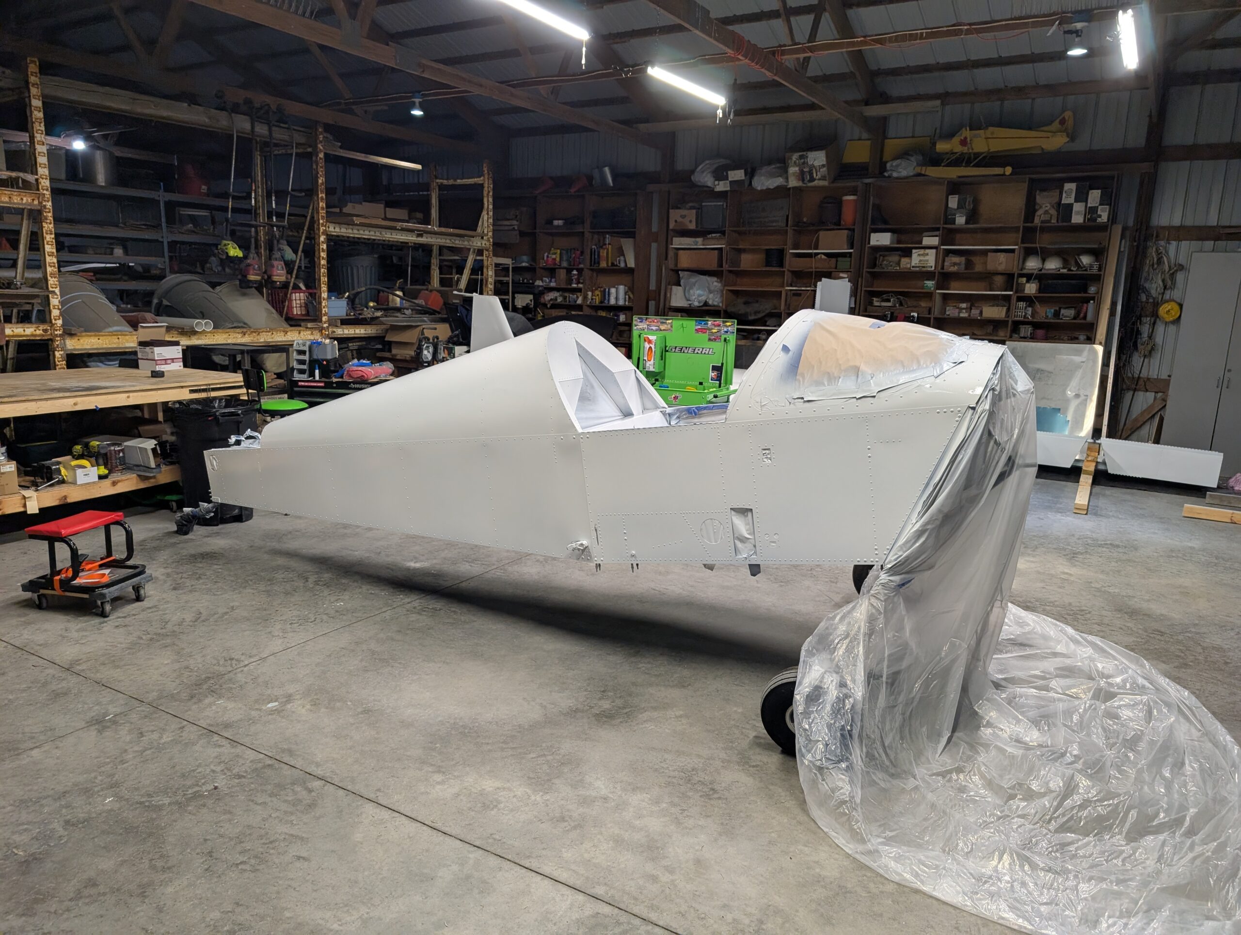 Tail Surfaces and Fuselage White Paint